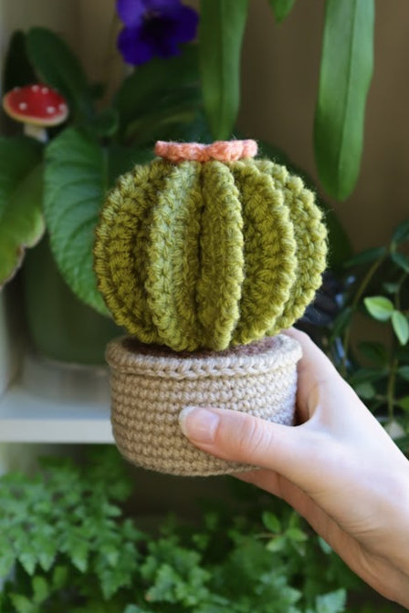 Crochet Cactus with Pink Flower