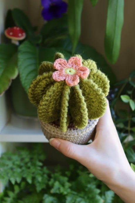 Crochet Cactus with Pink Flower
