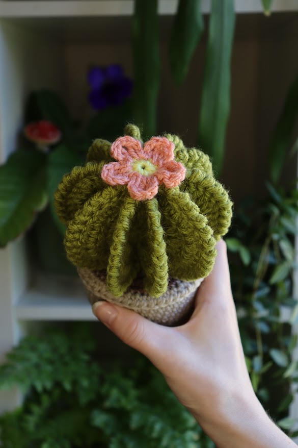 Crochet Cactus with Pink Flower