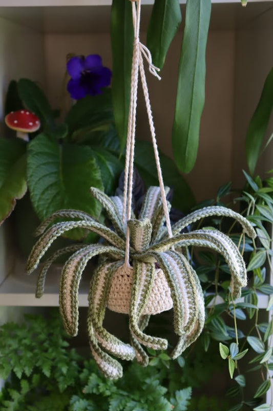 Crochet Spider Plant