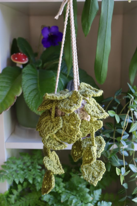 Crochet Green Hanging Plant