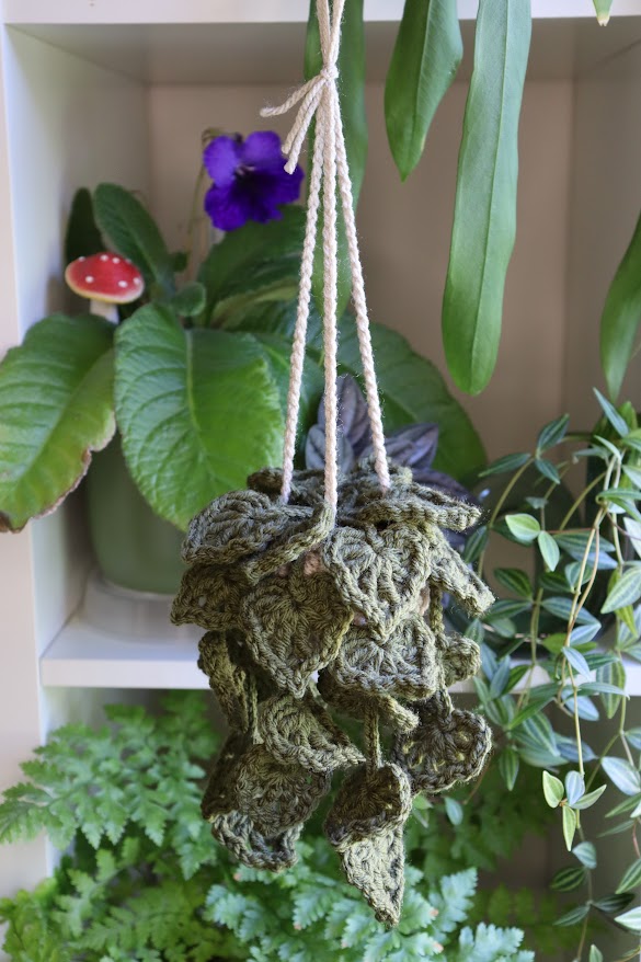 Crochet Dark Green Hanging Plant