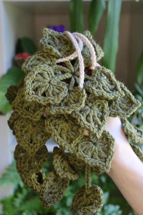 Crochet Dark Green Hanging Plant
