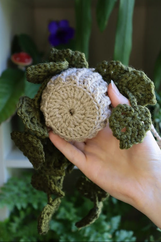 Crochet Dark Green Hanging Plant