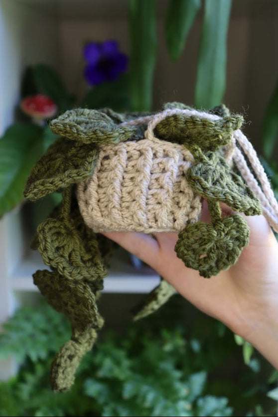 Crochet Dark Green Hanging Plant