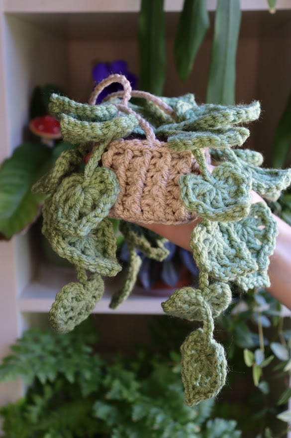 Crochet Mint Green Hanging Plant