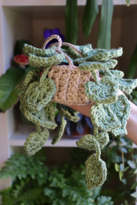 Crochet Mint Green Hanging Plant
