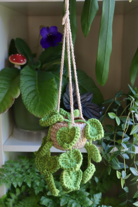Crochet Heart Leaf Plant
