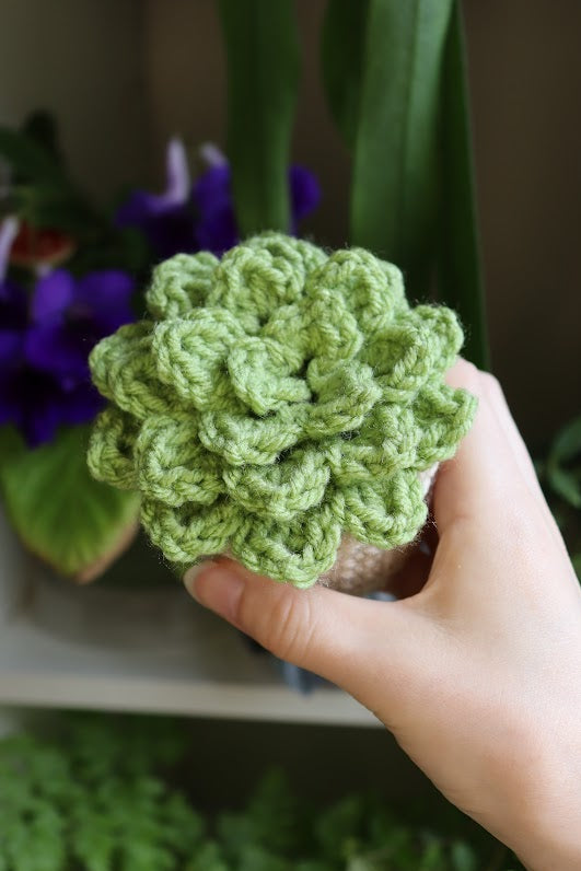 Crochet Light Green Succulent