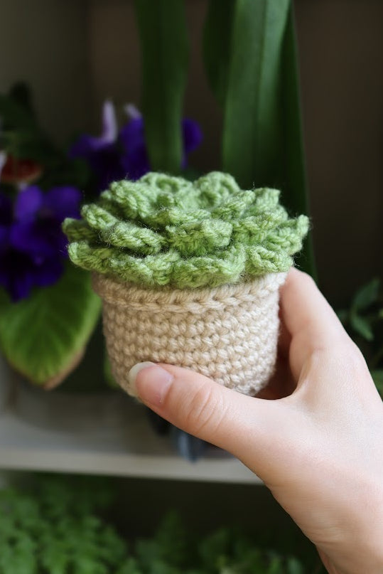 Crochet Light Green Succulent