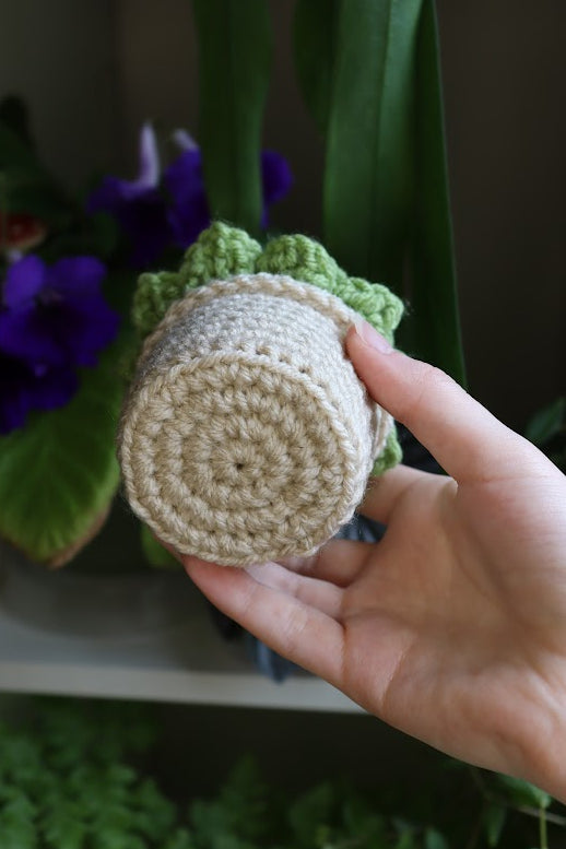 Crochet Light Green Succulent