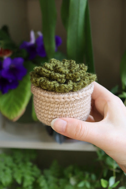 Small Crochet Dark Green Succulent