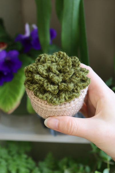 Small Crochet Dark Green Succulent