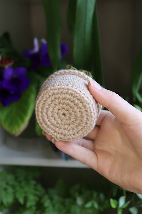 Small Crochet Dark Green Succulent