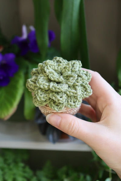 Small Crochet Green Succulent