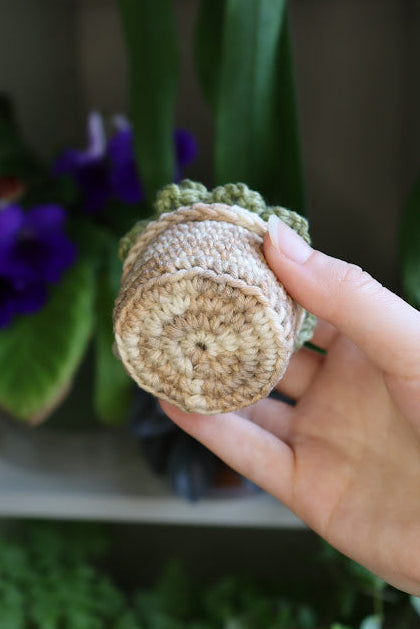 Small Crochet Green Succulent