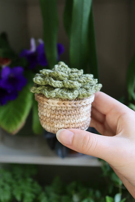 Small Crochet Green Succulent