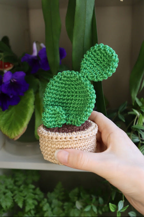 Crochet Prickly Pear Cactus