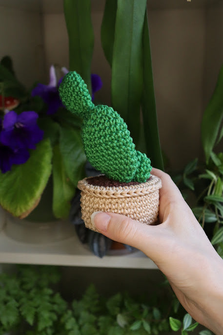 Crochet Prickly Pear Cactus