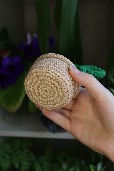 Crochet Prickly Pear Cactus