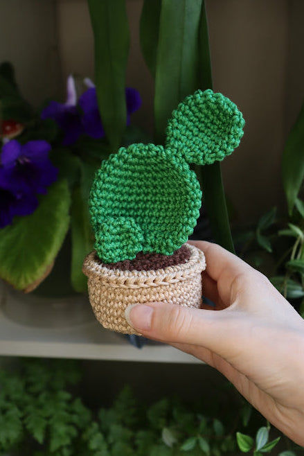 Crochet Prickly Pear Cactus