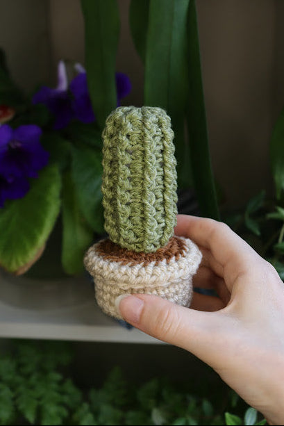 Small Crochet Cactus