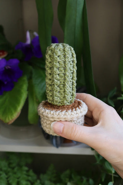Small Crochet Cactus