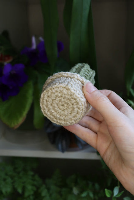 Small Crochet Cactus