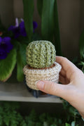 Small Crochet Cactus