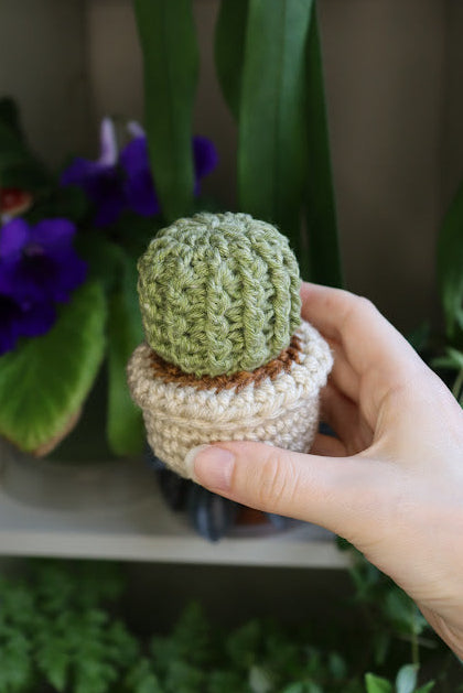 Small Crochet Cactus