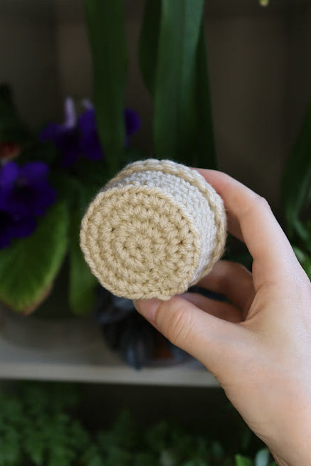 Small Crochet Cactus