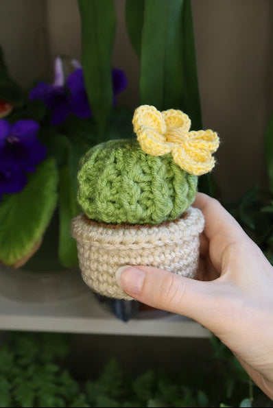 Crochet Smaller Yellow Flower Cactus