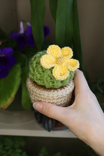 Crochet Smaller Yellow Flower Cactus