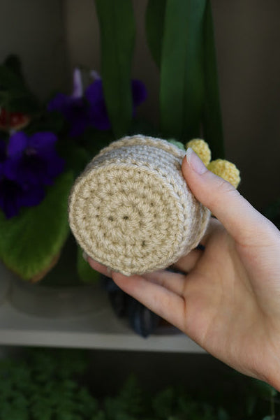 Crochet Smaller Yellow Flower Cactus