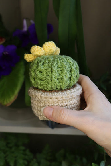 Crochet Smaller Yellow Flower Cactus