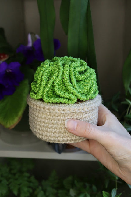 Big Crochet Brain Plant