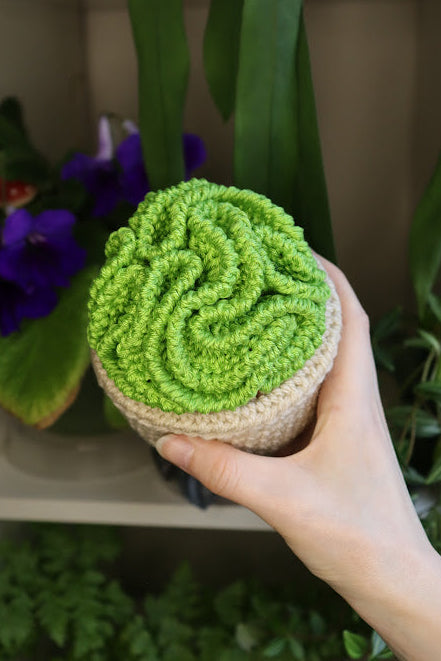Big Crochet Brain Plant