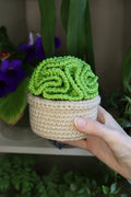Big Crochet Brain Plant