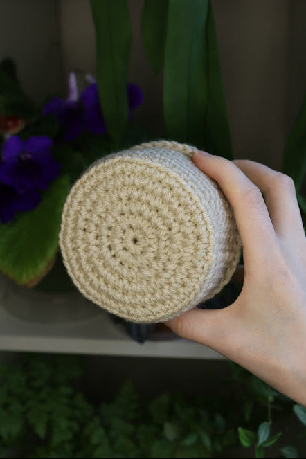 Big Crochet Brain Plant