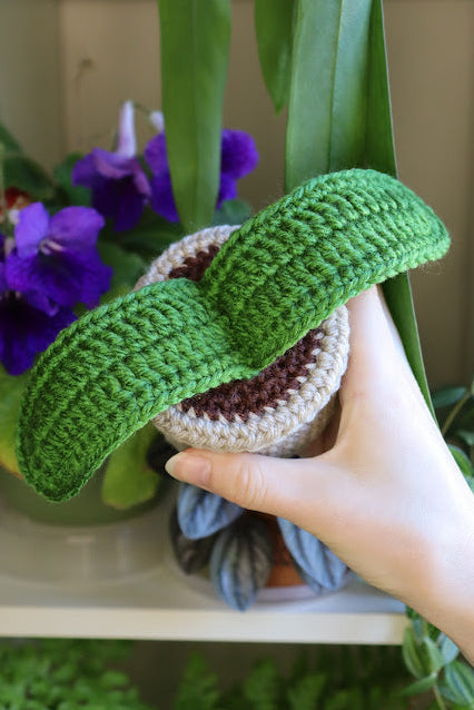 Crochet Ox Tongue Lily