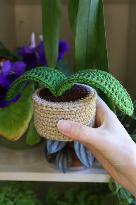 Crochet Ox Tongue Lily