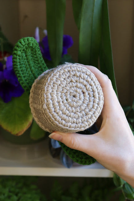 Crochet Ox Tongue Lily