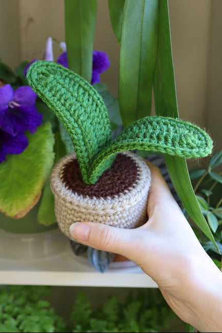 Crochet Ox Tongue Lily