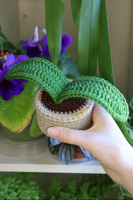 Crochet Ox Tongue Lily