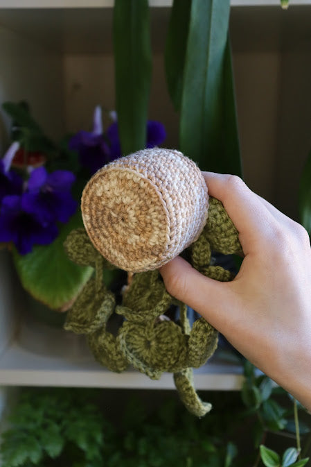 Crochet Heart Leaf Hanging Plant