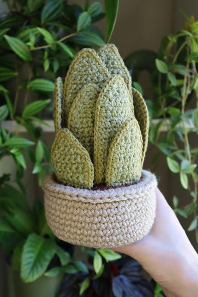 Crochet Snake Plant