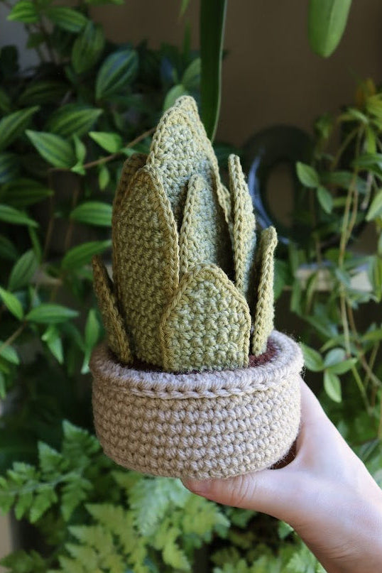Crochet Snake Plant