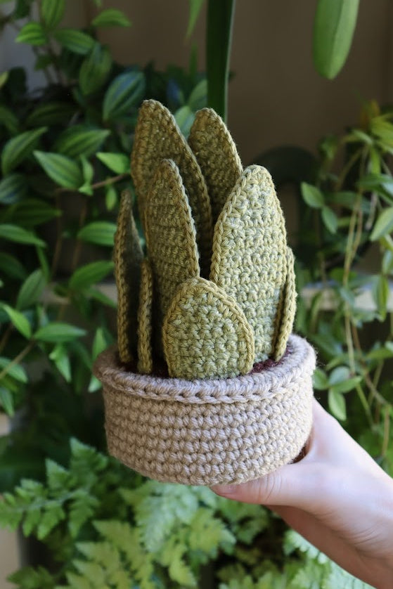 Crochet Snake Plant