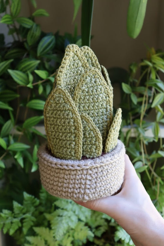 Crochet Snake Plant