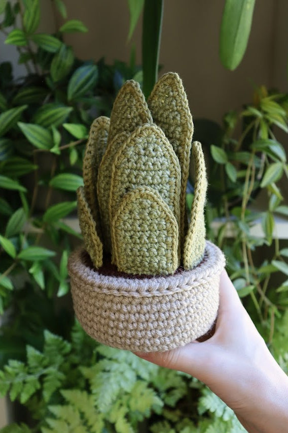Crochet Snake Plant